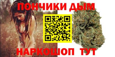 дмт Гатчина