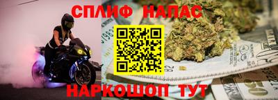 дмт Гатчина