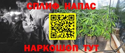 дмт Гатчина